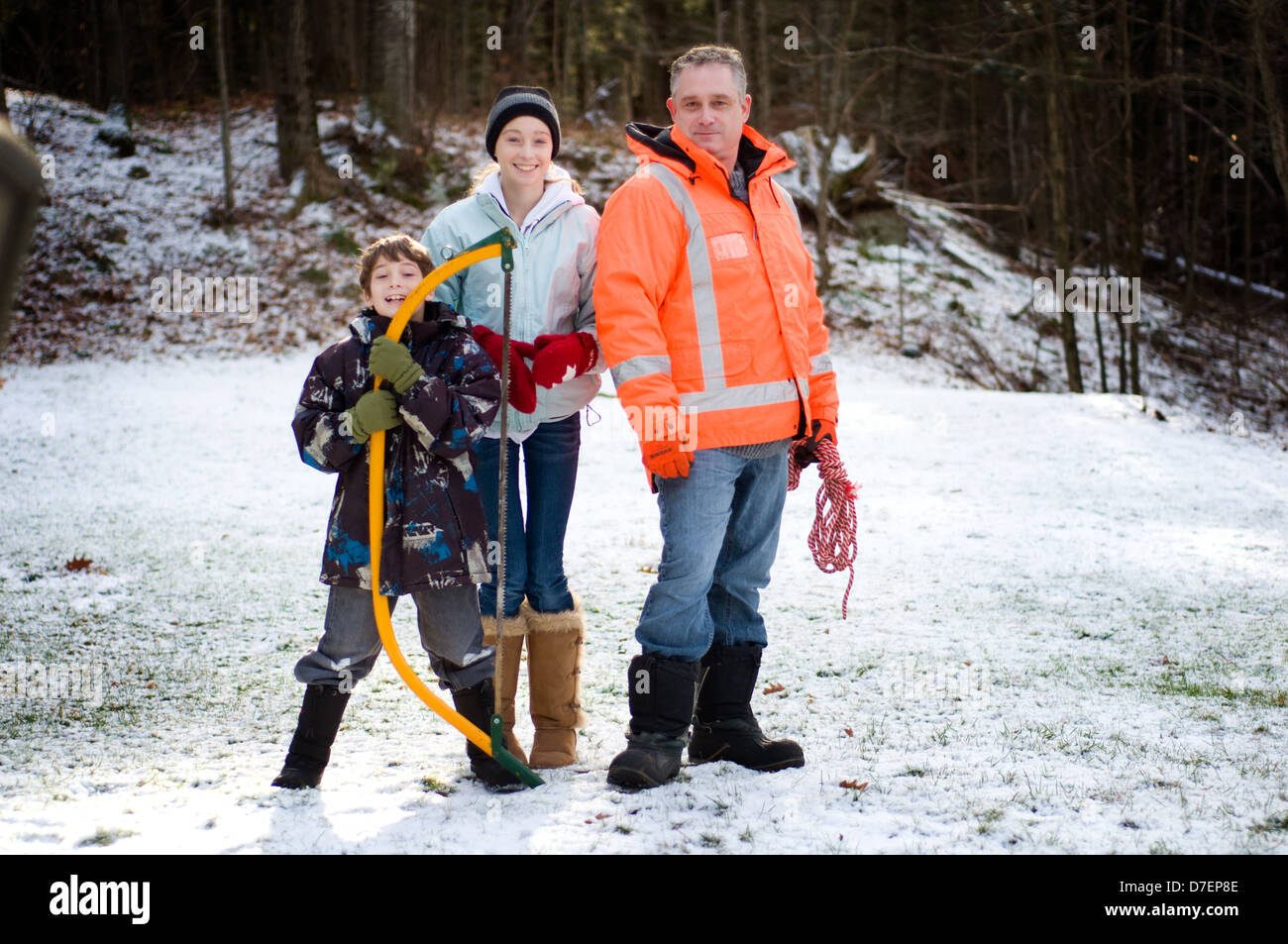 Where To Cut Down A Christmas Tree In Az at Deborah Guth blog