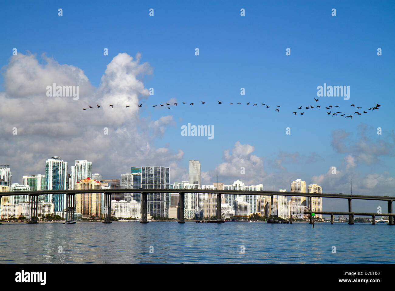 High rise skyscraper skyscrapers building buildings biscayne bay water ...