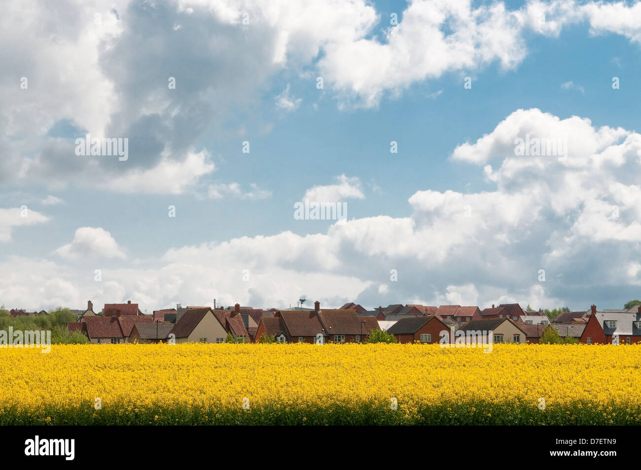Housing estate in Hadleigh, Suffolk, UK Stock Photo Alamy