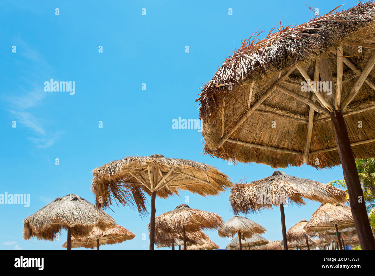 group of palapas against a blue sky Stock Photo