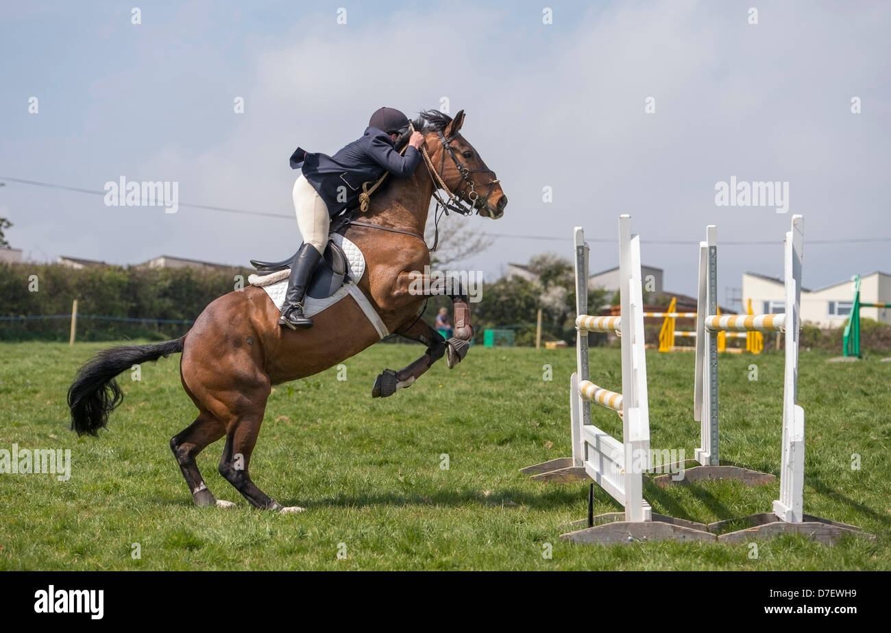 Equine event hi-res stock photography and images - Alamy