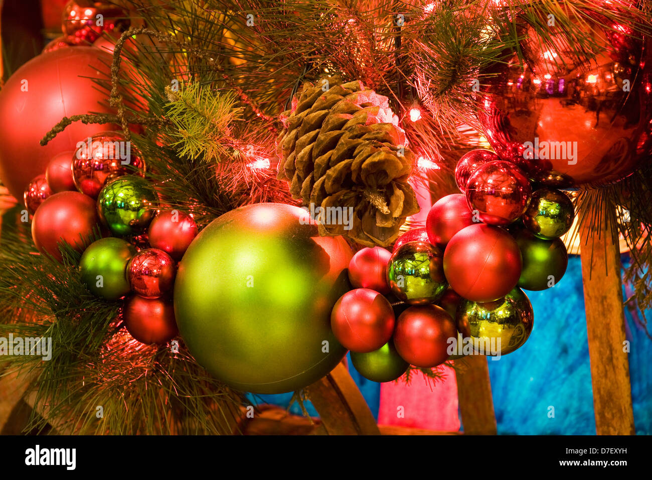 Green pine cone on a pine tree canada hires stock photography and