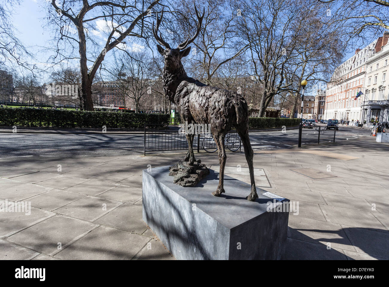 Stag life size bronze sculpture (by Hamis Mackie), Grosvenor Square