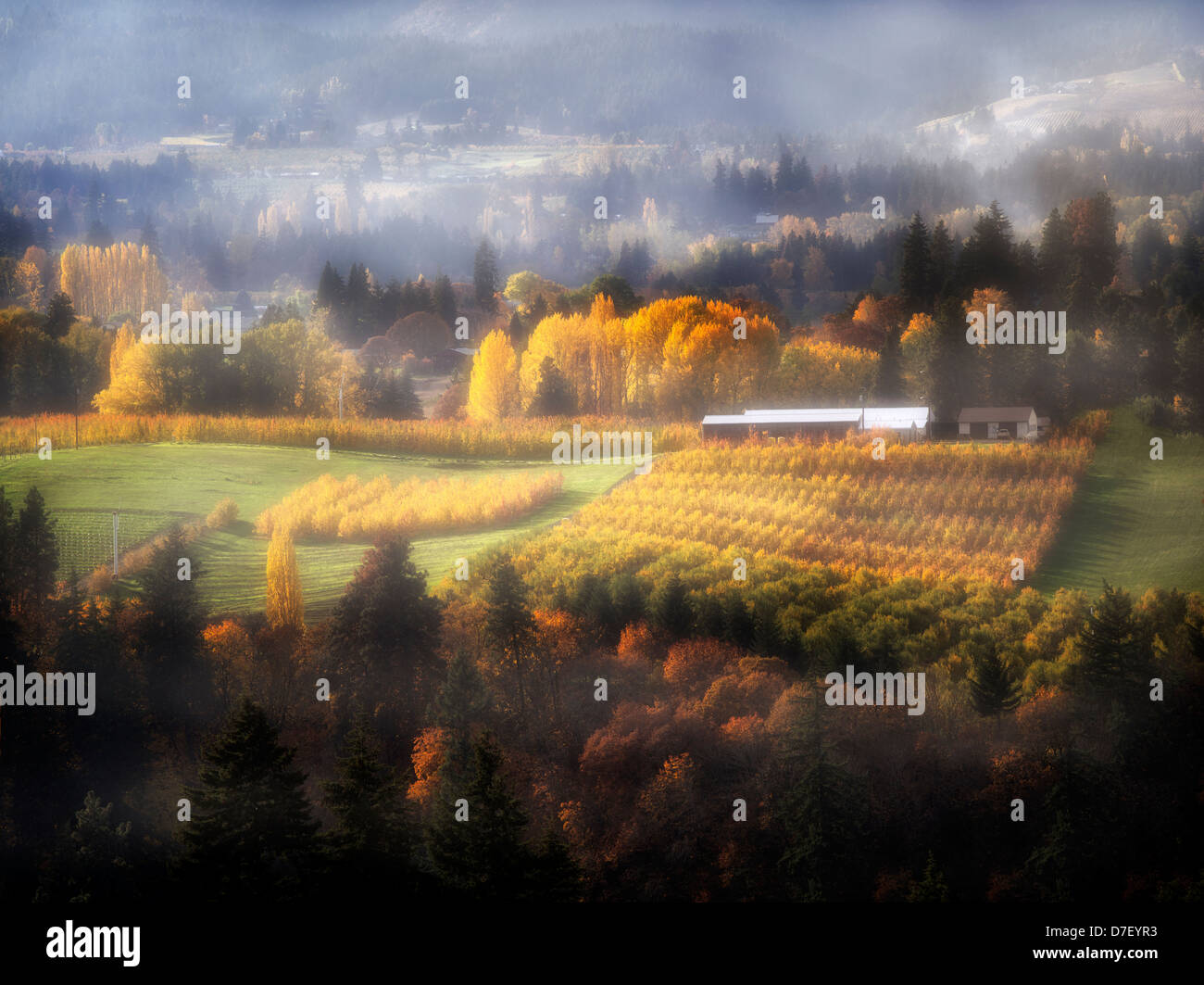Hood River Valley with orchards in fall colors. Oregon Stock Photo Alamy