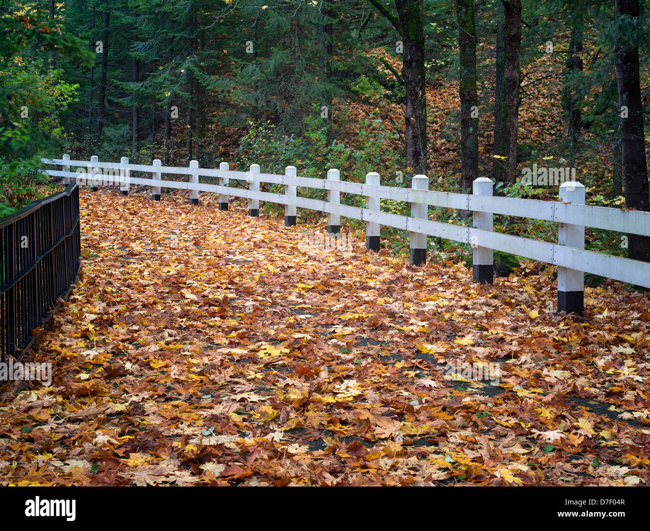 Fences and trees hi-res stock photography and images - Alamy