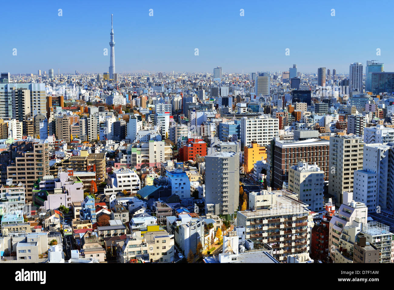 Urban cityscape of Tokyo with the Tokyo Skytree in the distance. Stock Photo