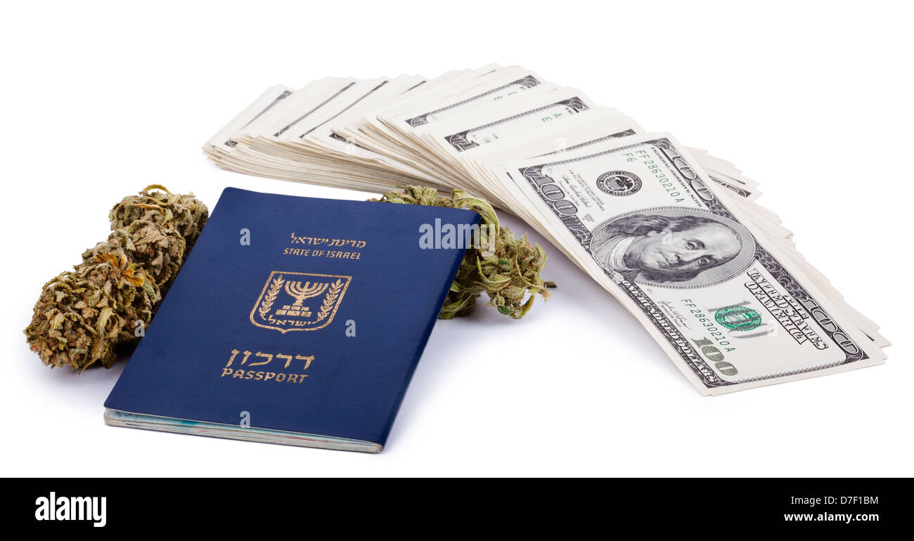 An Israeli passport, two Marijuana buds and a large stack of 100 US dollar money notes isolated on white background. Stock Photo