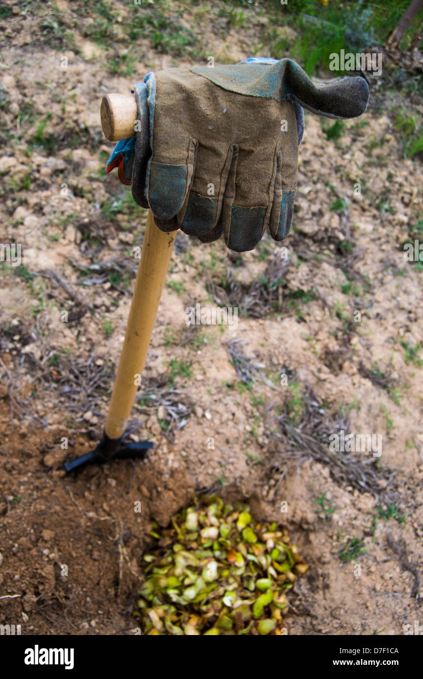 High angle shot of glove, shovel and hole whit compost Stock Photo