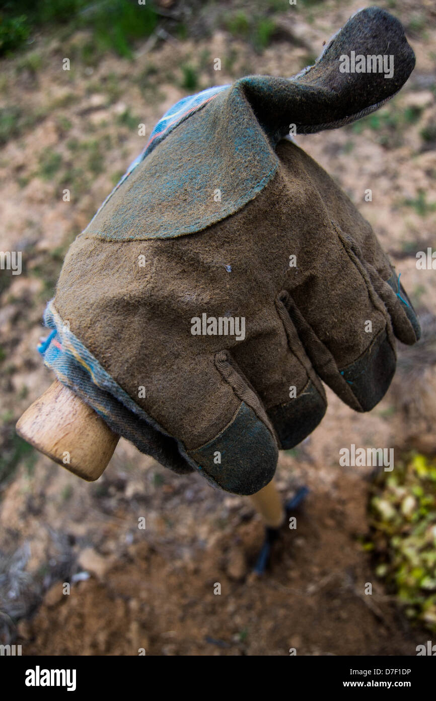High angle shot of glove and shovel Stock Photo