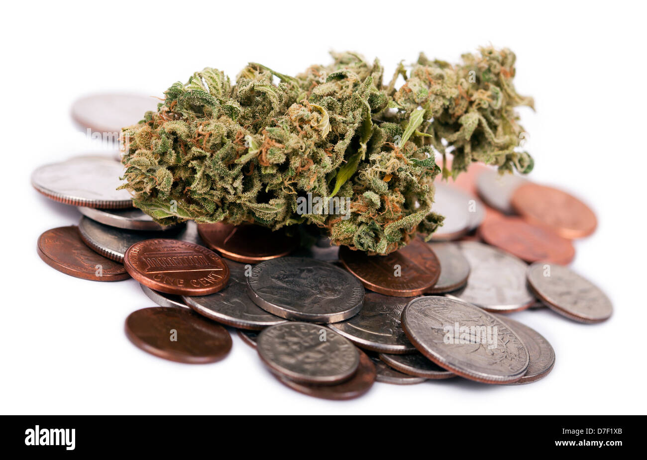 A high grade hydrophonic Cannabis (Marijuana) bud resting on pile various USA coins - pennies quarters dimes nickels. White Stock Photo