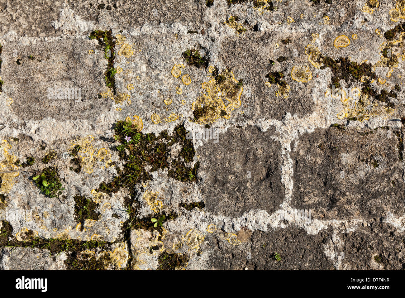 Close up of an ancient stone wall partially covered with algae and vegetation. Stock Photo
