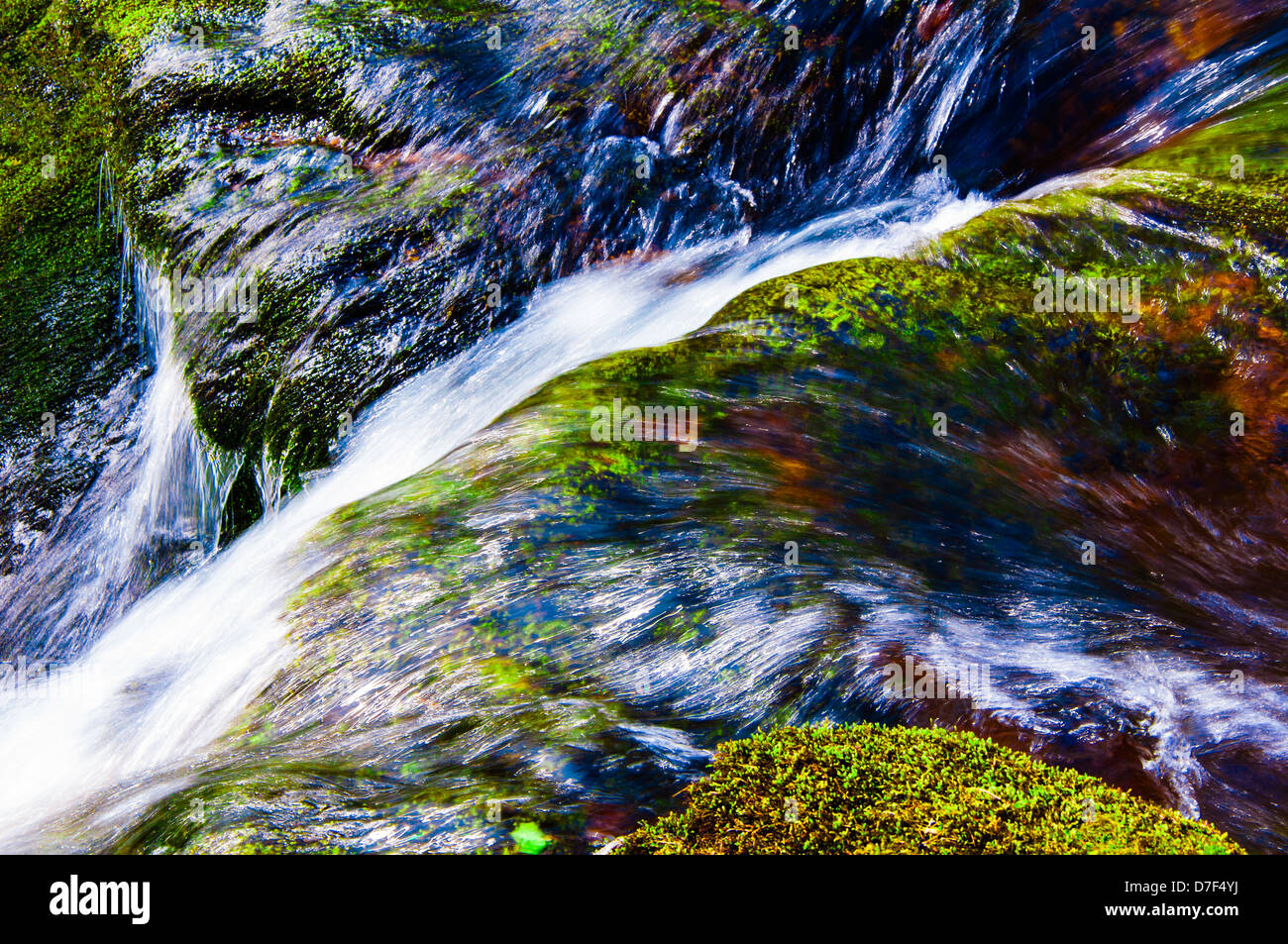 Crystal clear water of a forest stream, flowing over green mossy rocks. Stock Photo