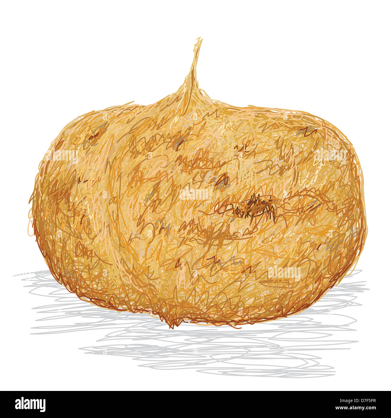 closeup illustration of jicama root isolated if white background Stock