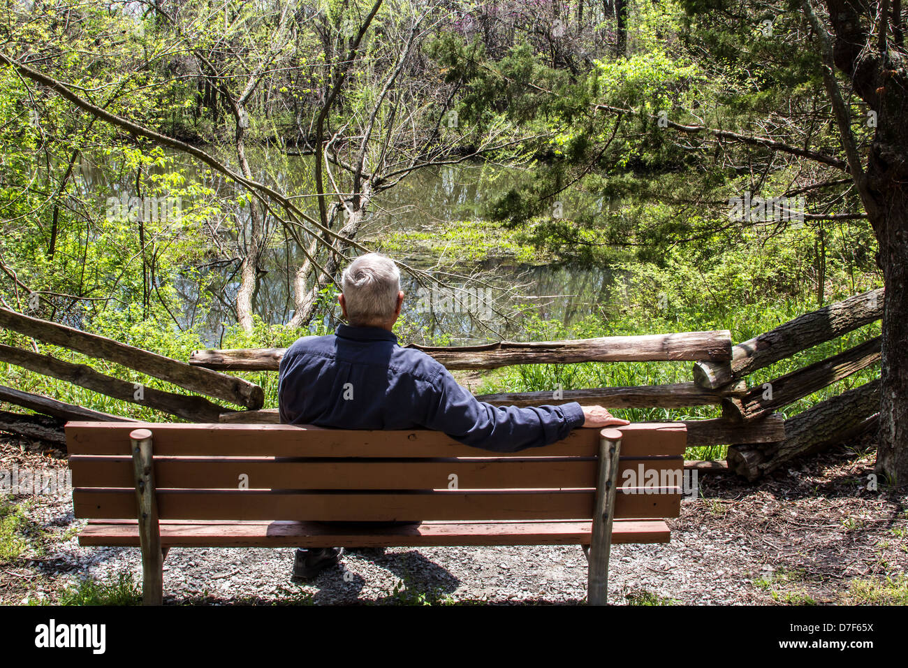 Man Relaxing On A Park Bench Enjoying A Peaceful Scene Stock Photo