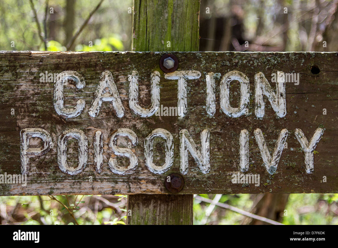 Weathered caution poison ivy sign posted in heavily wooded area Stock ...