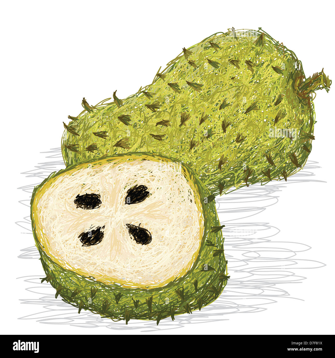 Guyabano Fruit High Resolution Stock Photography And Images Alamy Guyabano Fruit High Resolution Stock Photography And Images Alamy