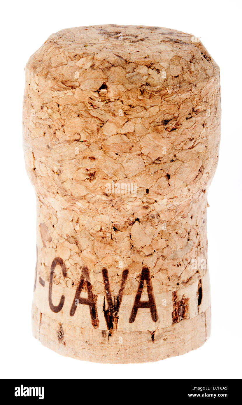 A Cava bottle cork isolated on white background. Stock Photo