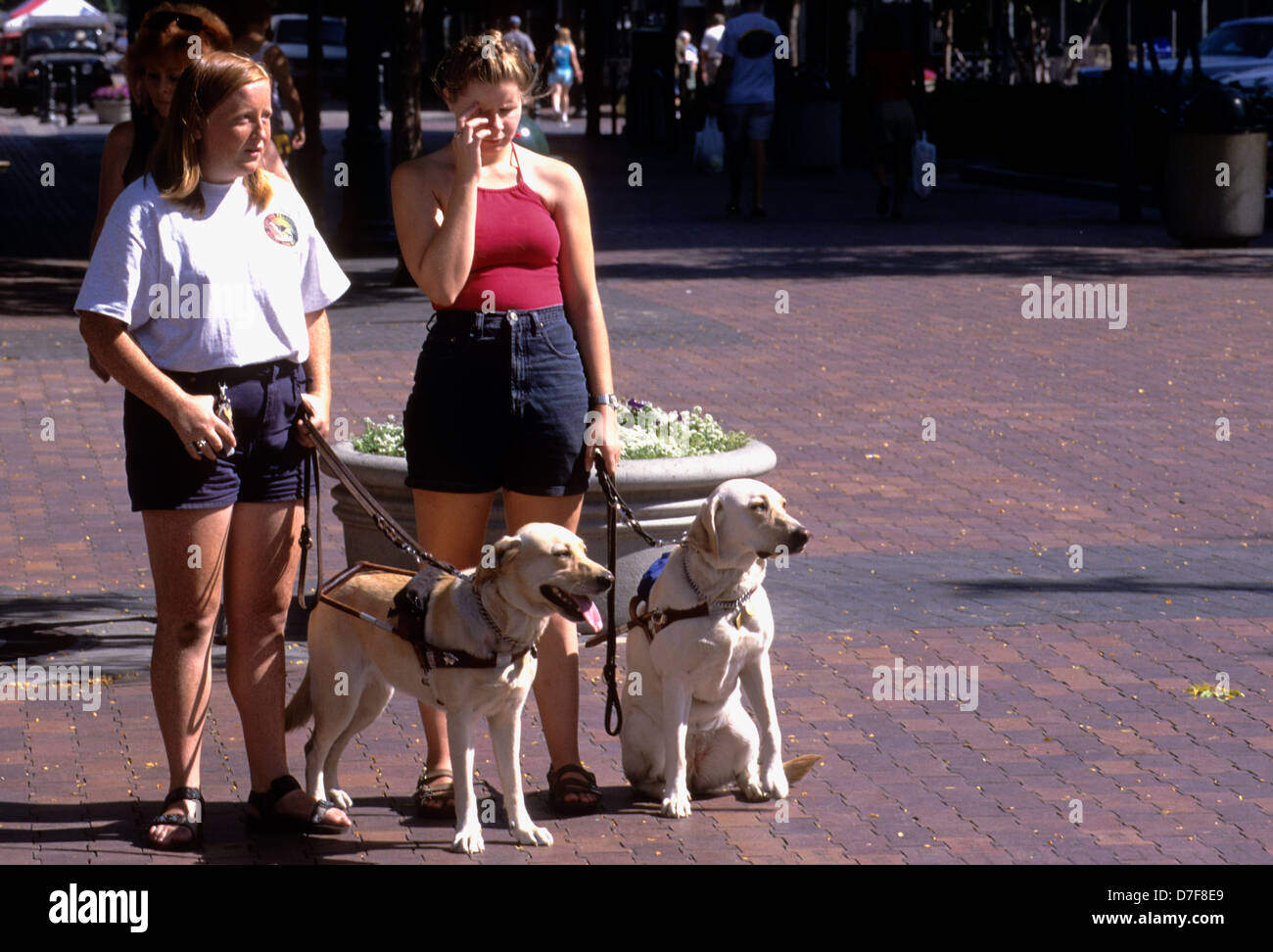 Two visually-impaired women with guide dogs in downtown Boise Idaho Stock Photo