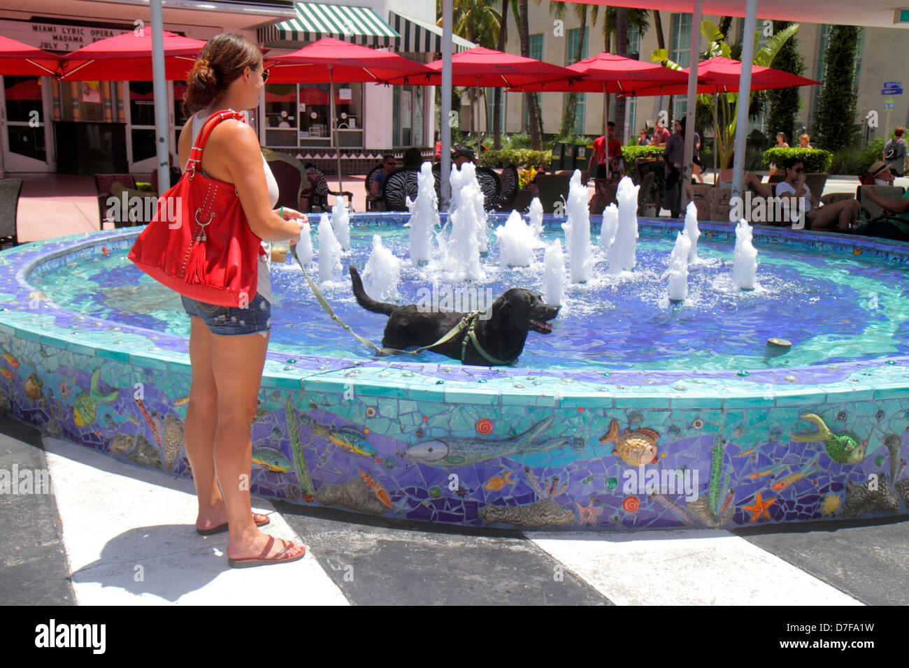 Miami Beach Florida,Lincoln Road Mall,woman female women,dog,pet,owner,leash,public fountain,water,cooling off in,FL120708108 Stock Photo