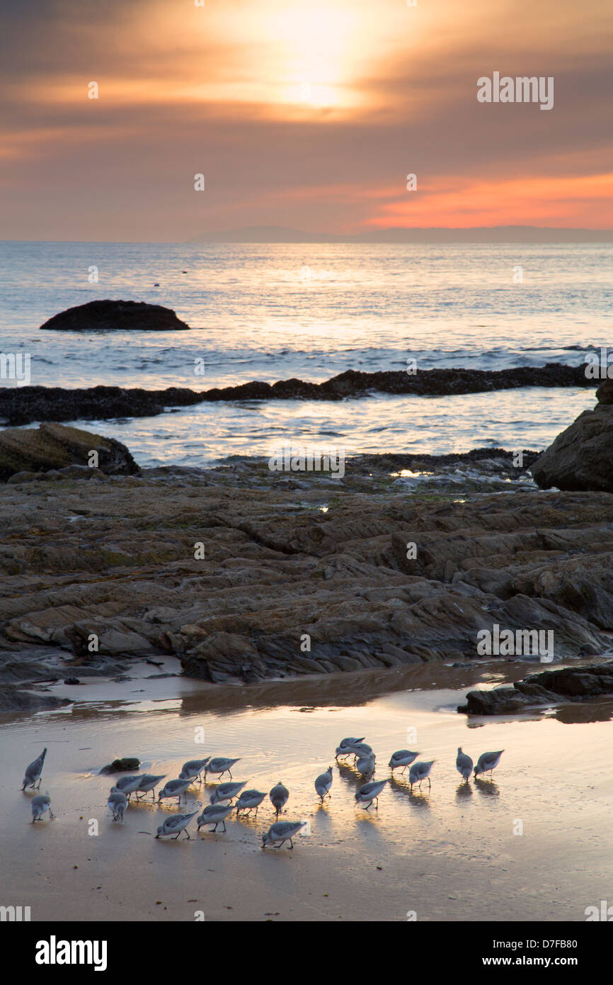 Sunset at Crystal Cove State Park, Newport Beach, Orange County, California. Stock Photo