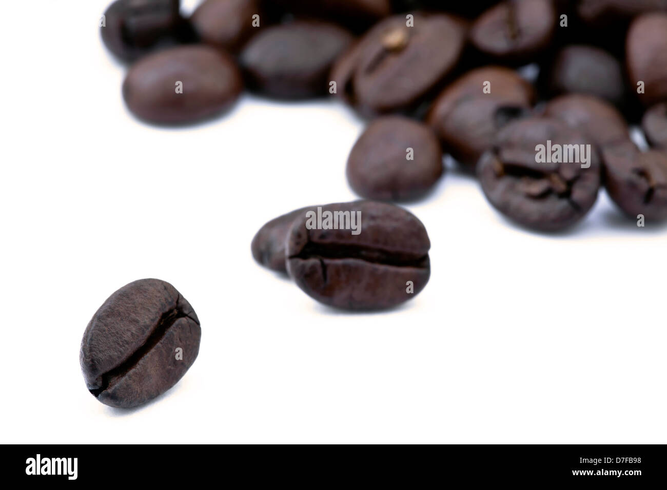 Close up of an array of coffee beans isolated on white background Stock ...