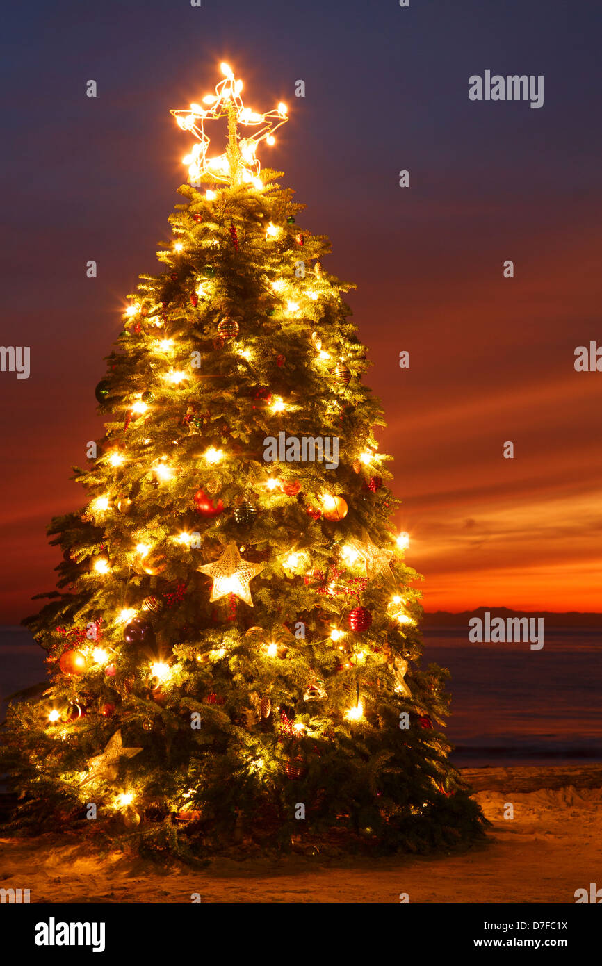 Christmas Tree At The Crystal Cove Beach Cottages Crystal Cove