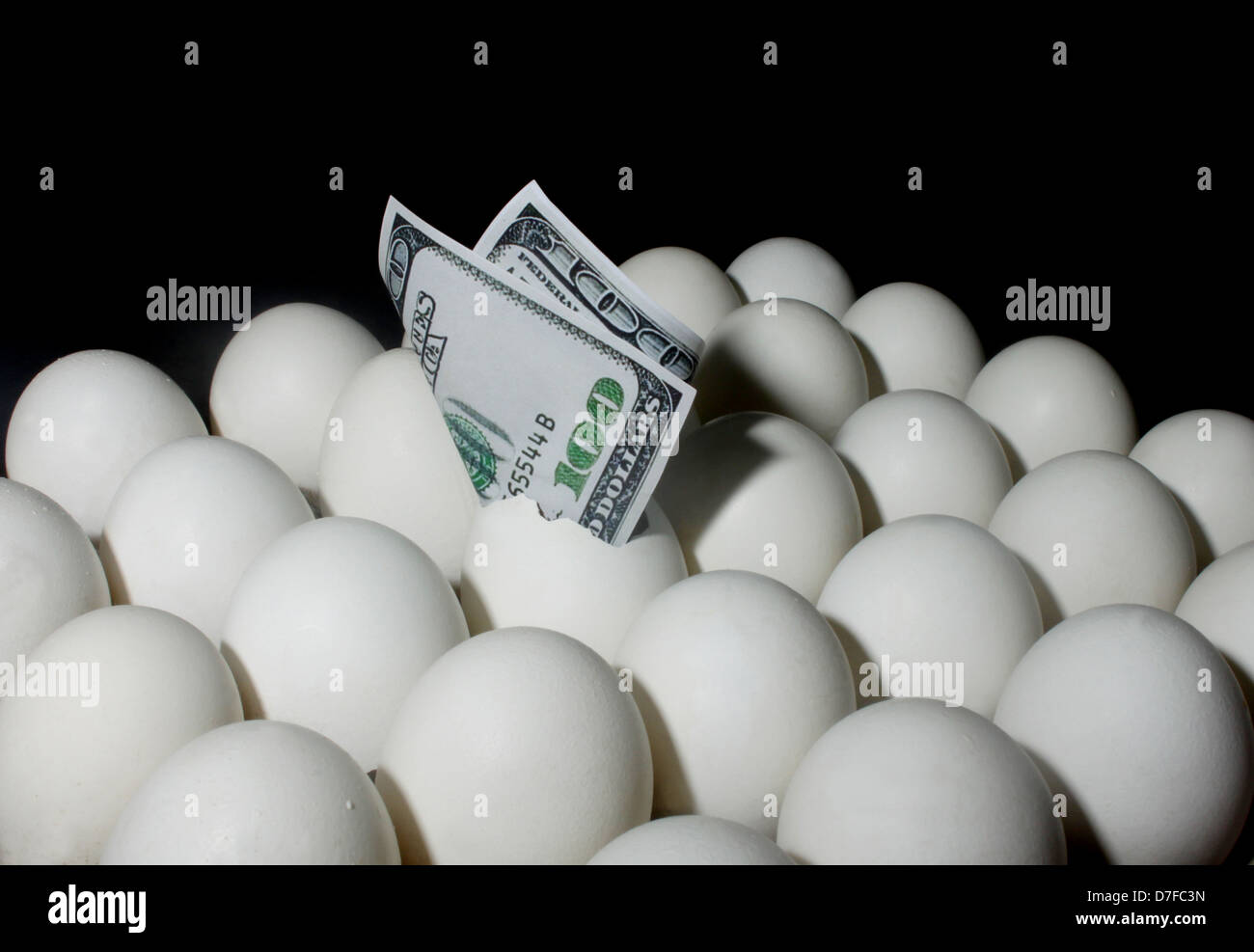 Dollar bill on eggs Stock Photo Alamy