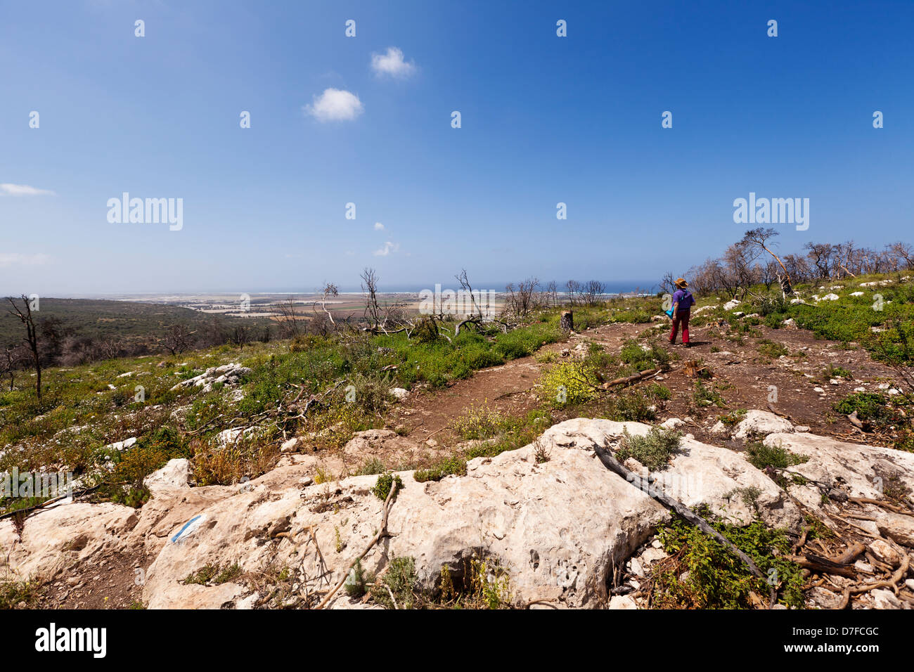 Wide angle long shot view senior woman in field trip at Carmel mountains in Israel. Mediterranean sea coastline (Atlit) can be Stock Photo