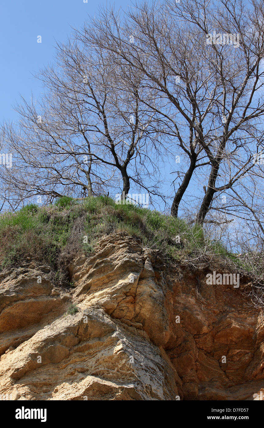 trees growing on precipice over blue sky Stock Photo
