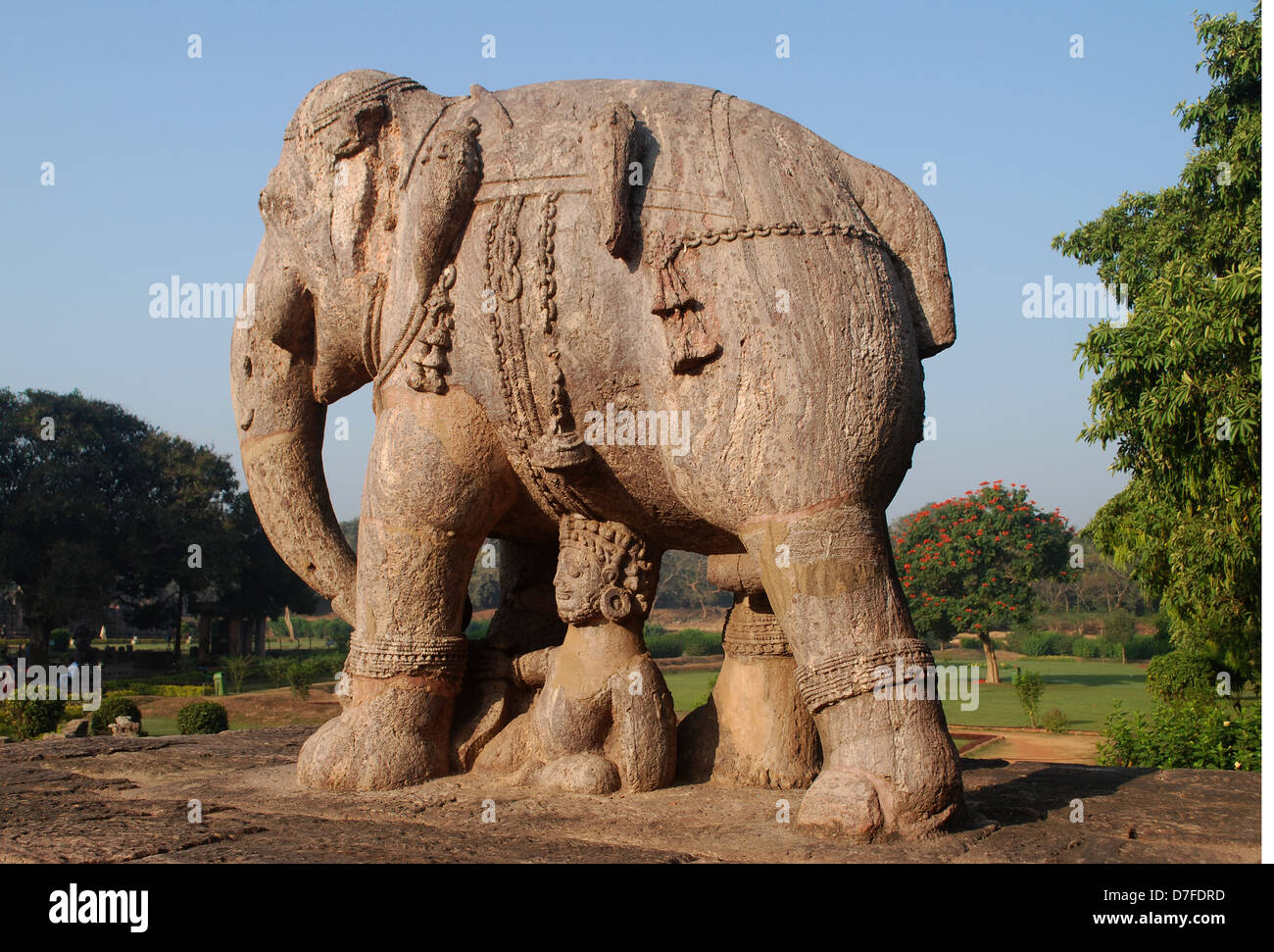 Elephant stone discount