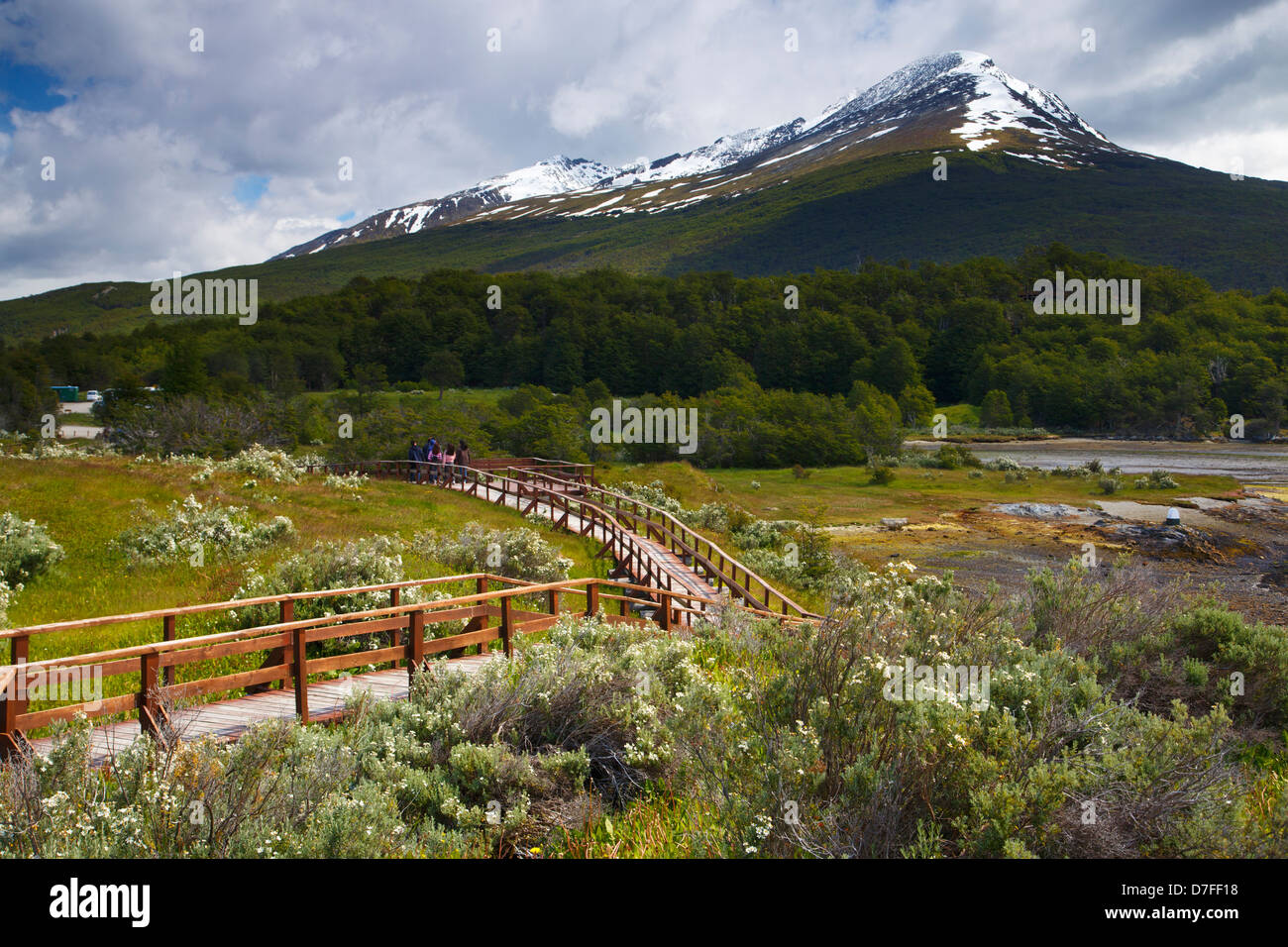 Tierra del Fuego National Park, Ushuaia, Argentina. Stock Photo