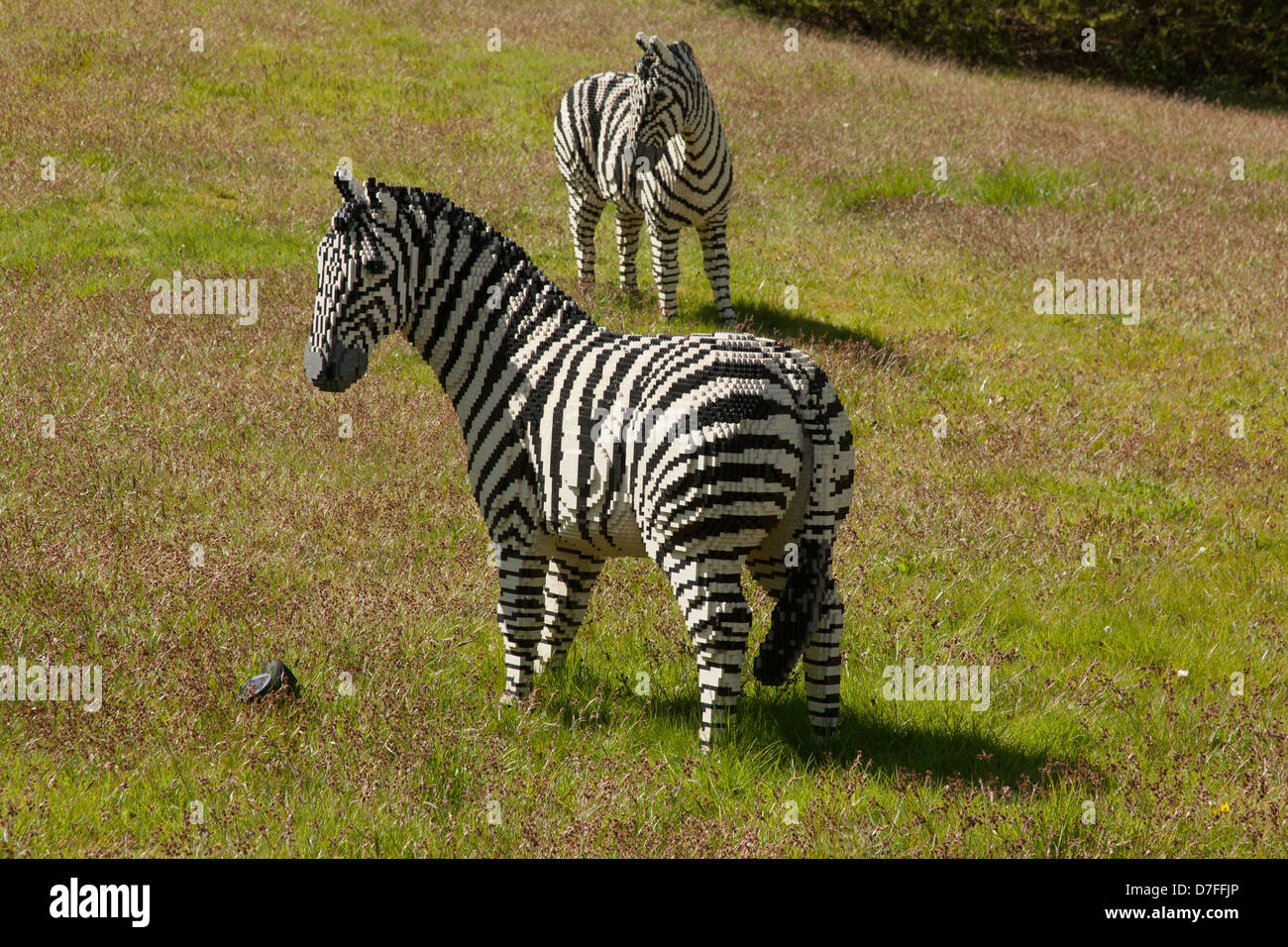 Lego model of a Zebra at Legoland, Windsor, London, England, United ...