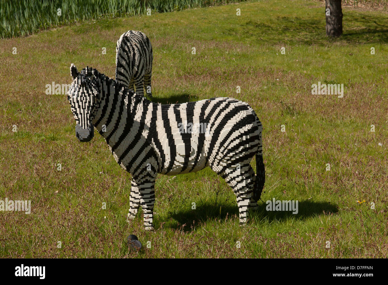 Lego model of a Zebra at Legoland, Windsor, London, England, United Kingdom Stock Photo -
