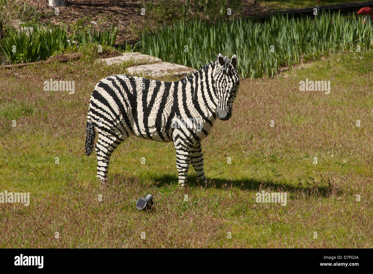 Lego model of a Zebra at Legoland, Windsor, London, England, United ...