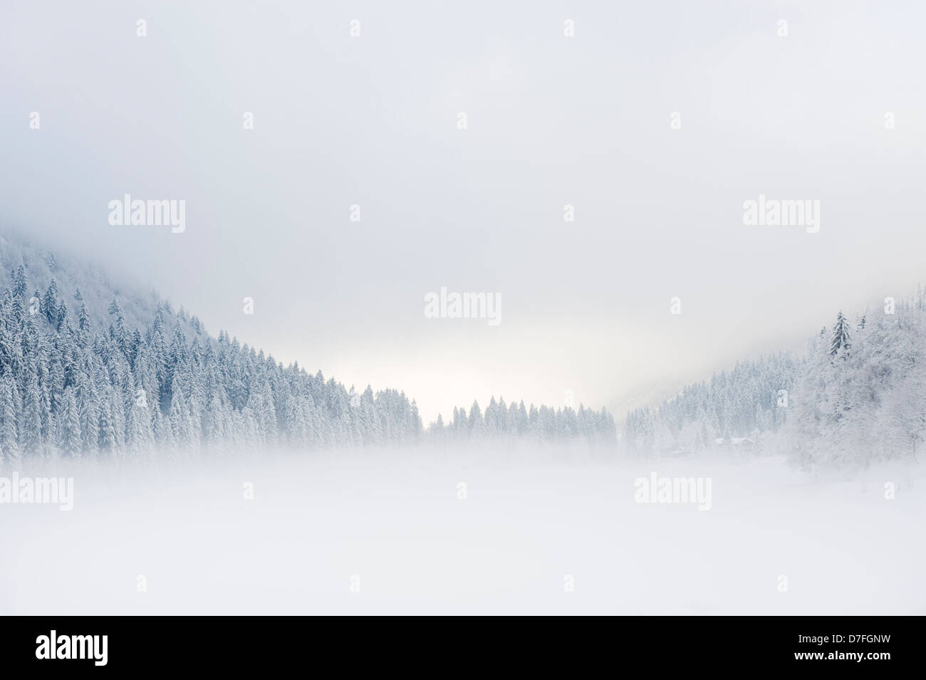 Fog covered forest mountain hi-res stock photography and images - Alamy