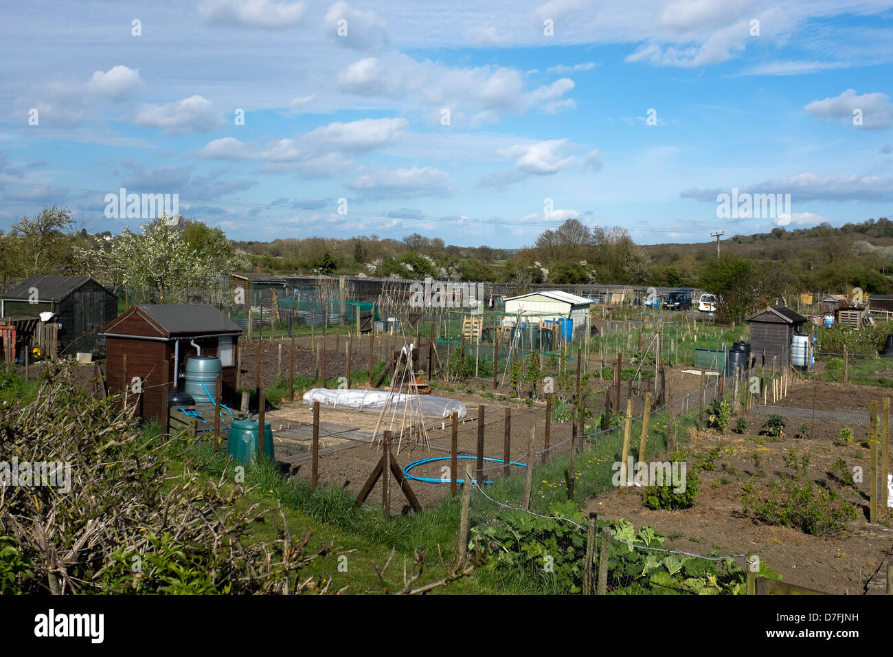 Allotments Stock Photo