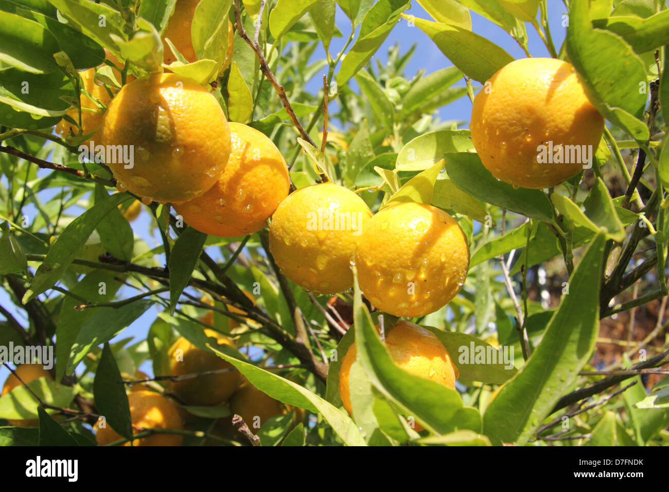 21654a hires stock photography and images Alamy