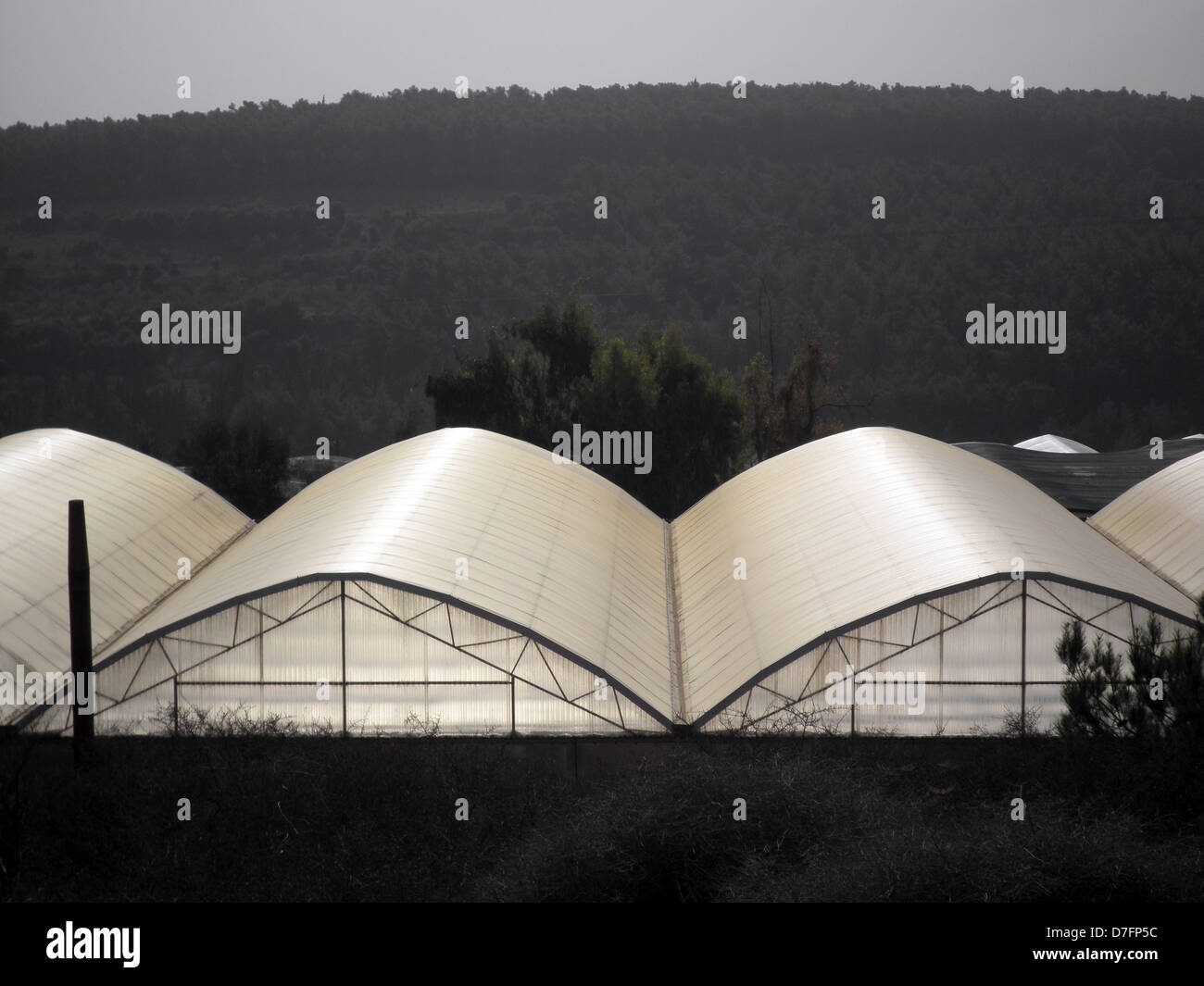 Greenhouses in Mei Ami, cooperative settlement near Wadi Ara, Israel Stock Photo