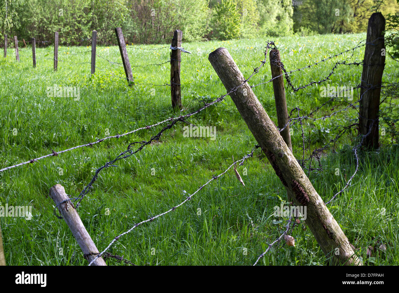 Broken wire fence Stock Photo Alamy