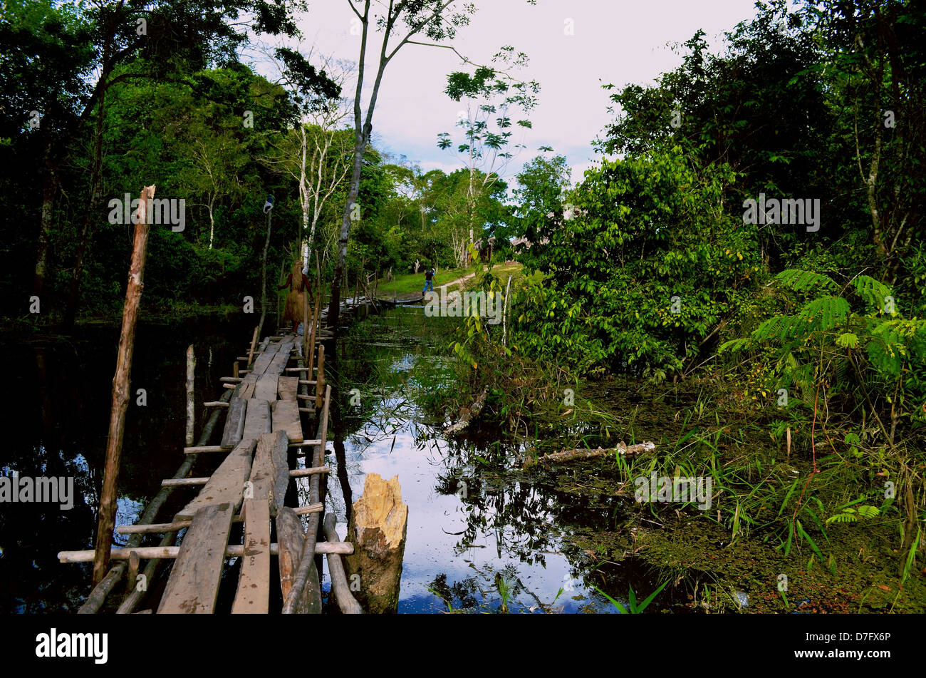 a member of the Yagua indigenous tribe crosses a bridge in the Amazon rain forest, Peru Stock Photo
