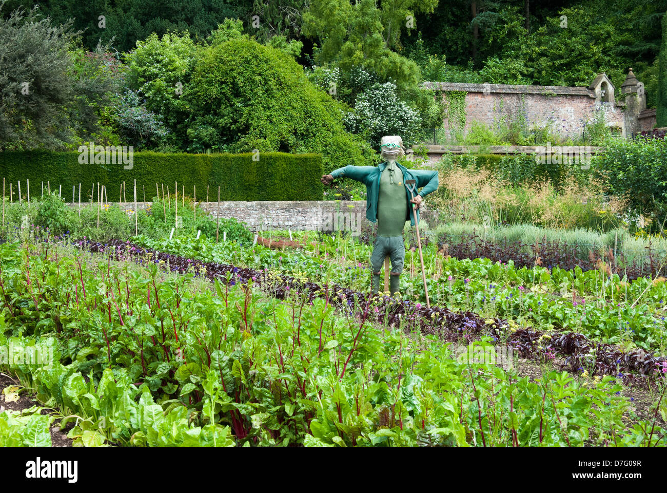 Scarecrow garden hi-res stock photography and images - Alamy