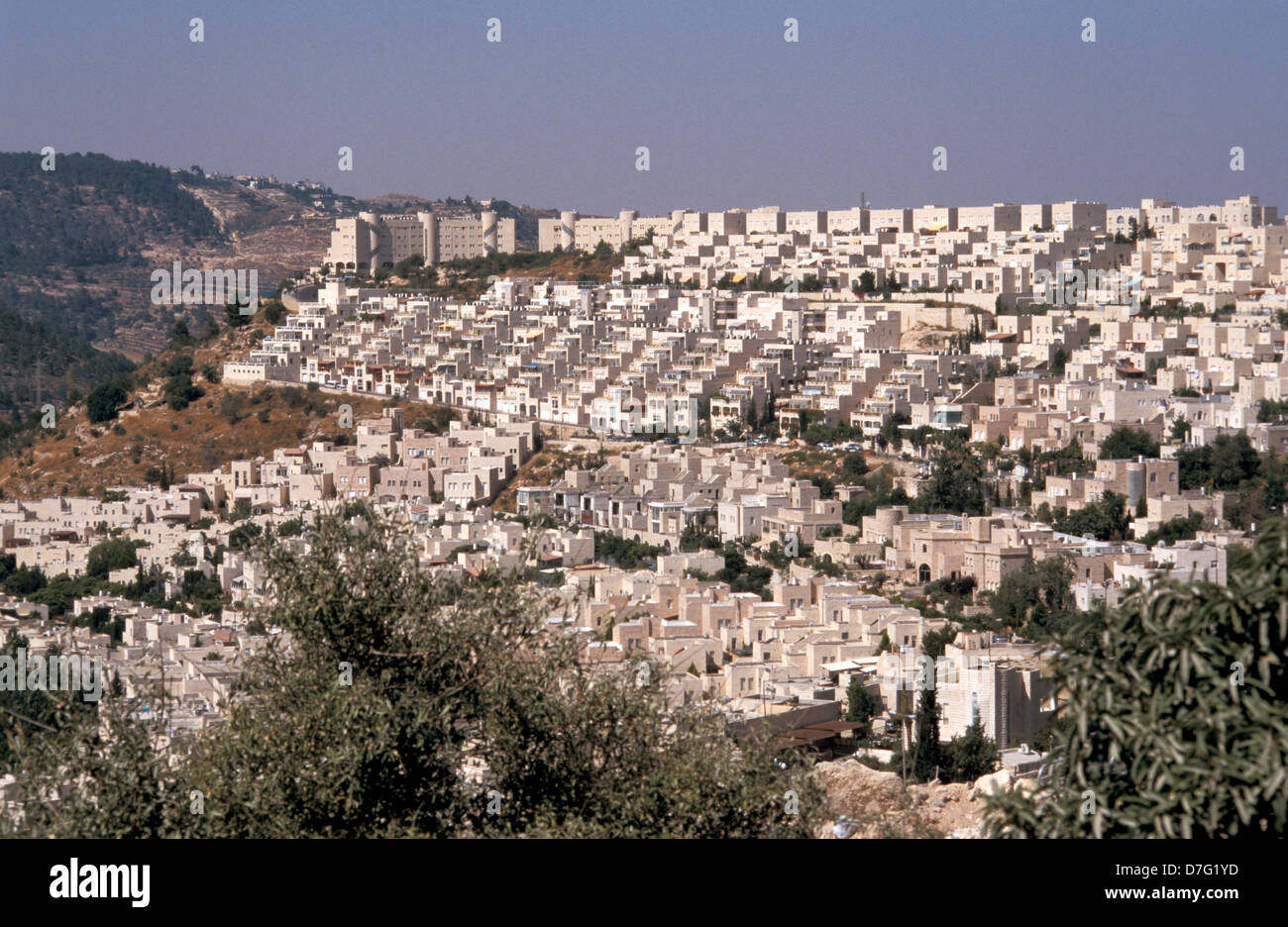 Manachat hi-res stock photography and images - Alamy