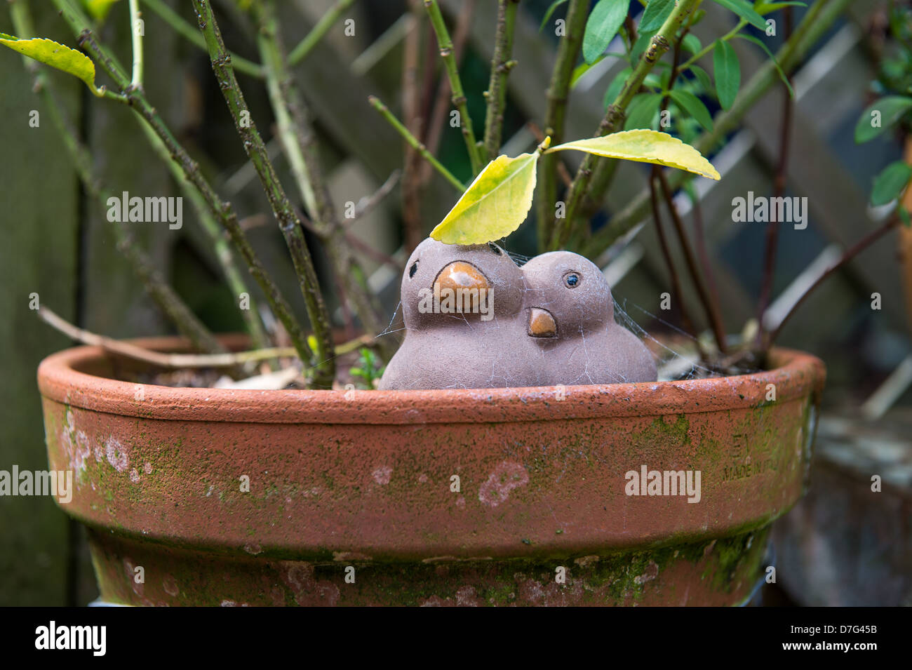 Terracotta Pot In A Garden With Small Bird Decorations Stock