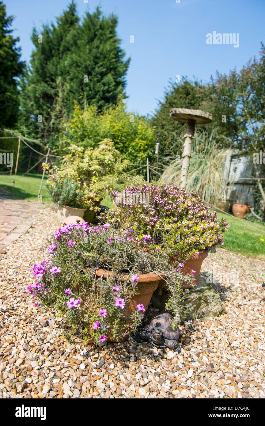 A garden view including a hidden tortoise and a bird table Stock Photo