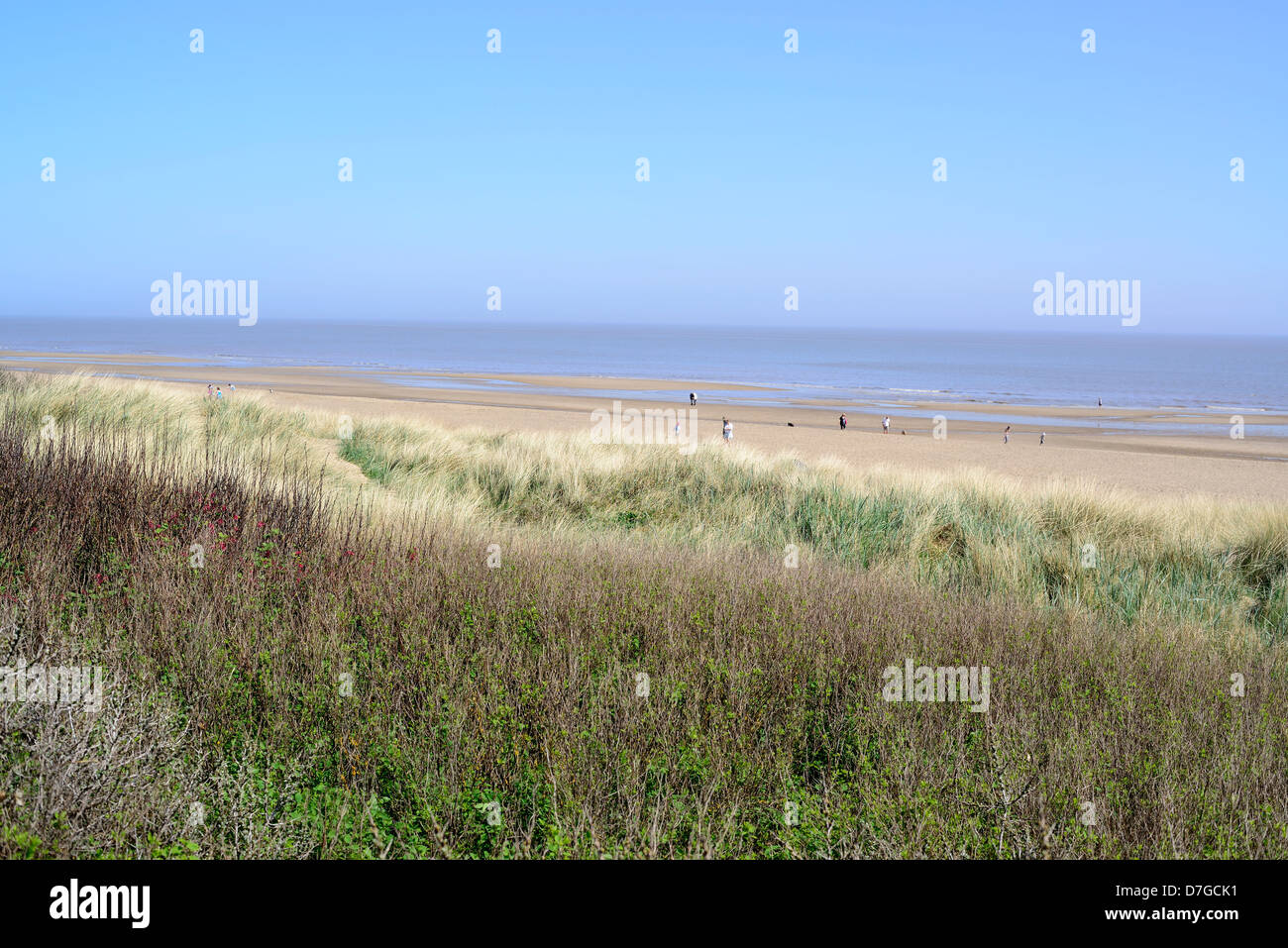 Gedney Drove End, Lincolnshire Coast on a Blue Sky Day Stock Photo Alamy