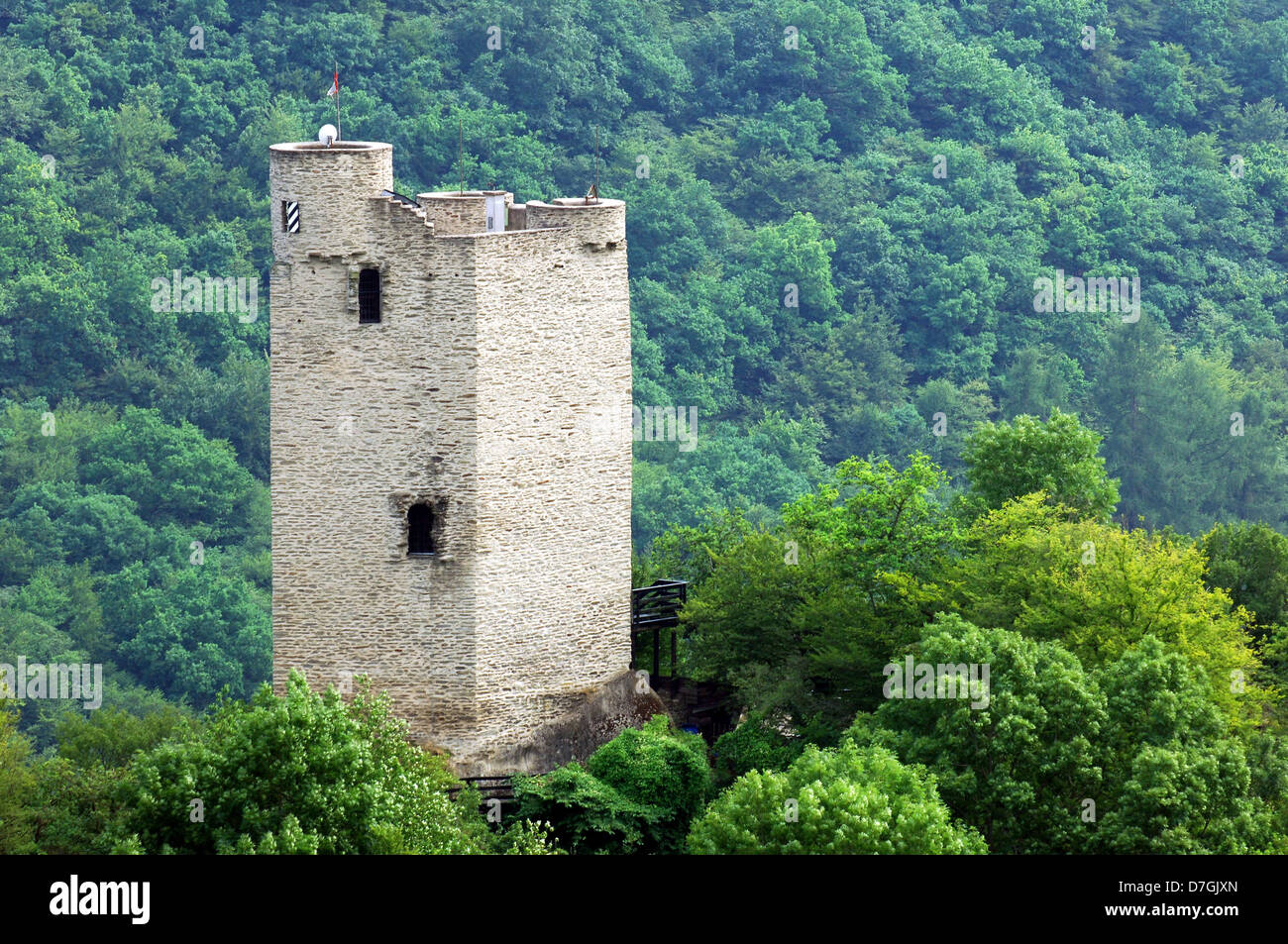 Germany, Rheinland-Pfalz, Laurenburg, castle Stock Photo