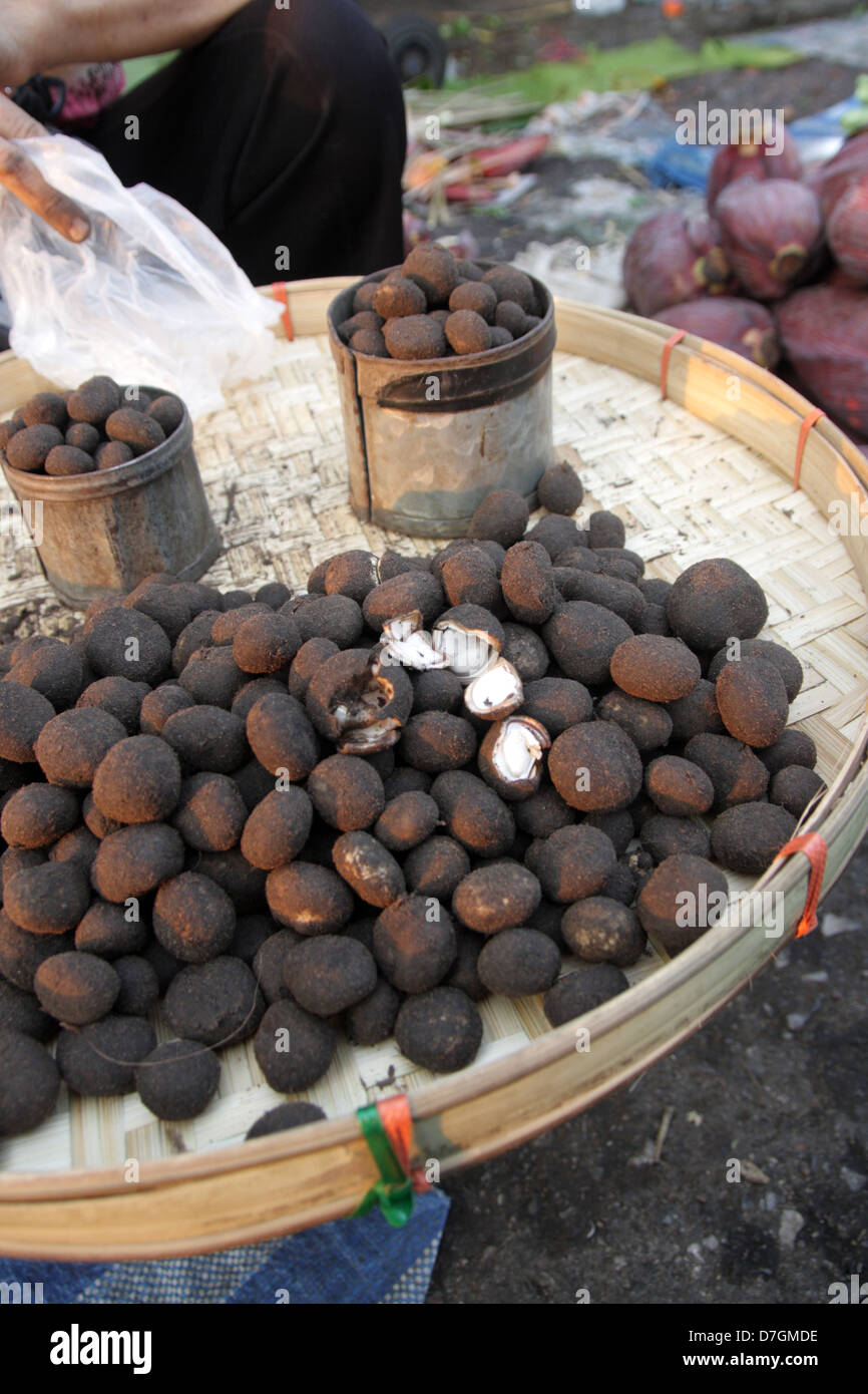 Barometer Earthstar Mushrooms on sale in a market ,Chiang rai province
