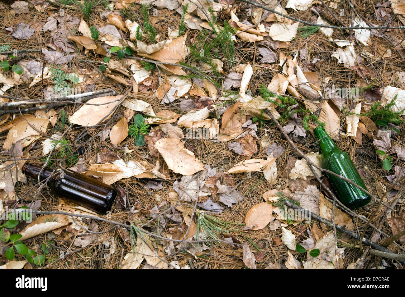 Garbage in the forest Stock Photo - Alamy