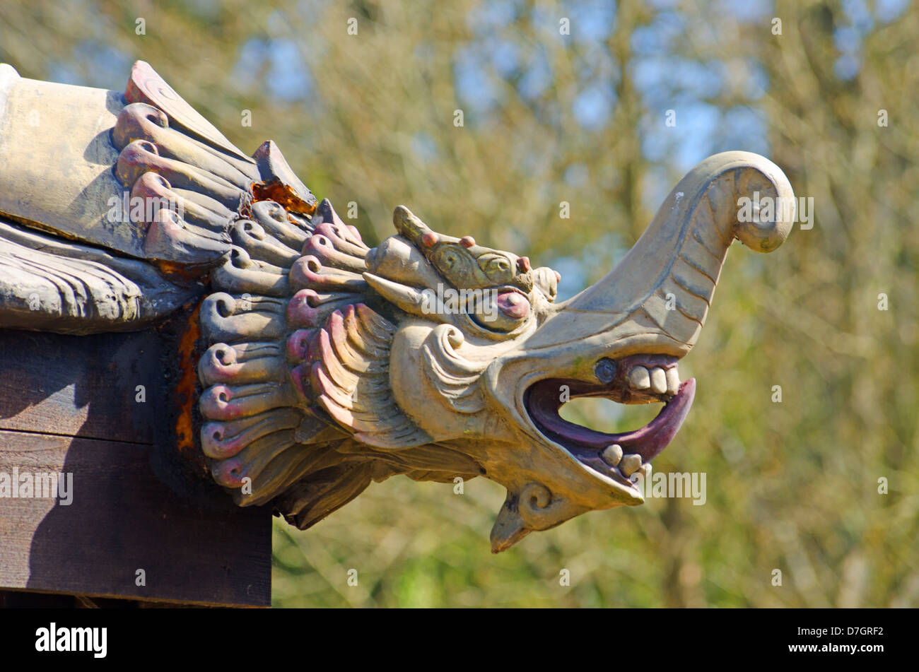 Chinese pagoda dragon head Stock Photo