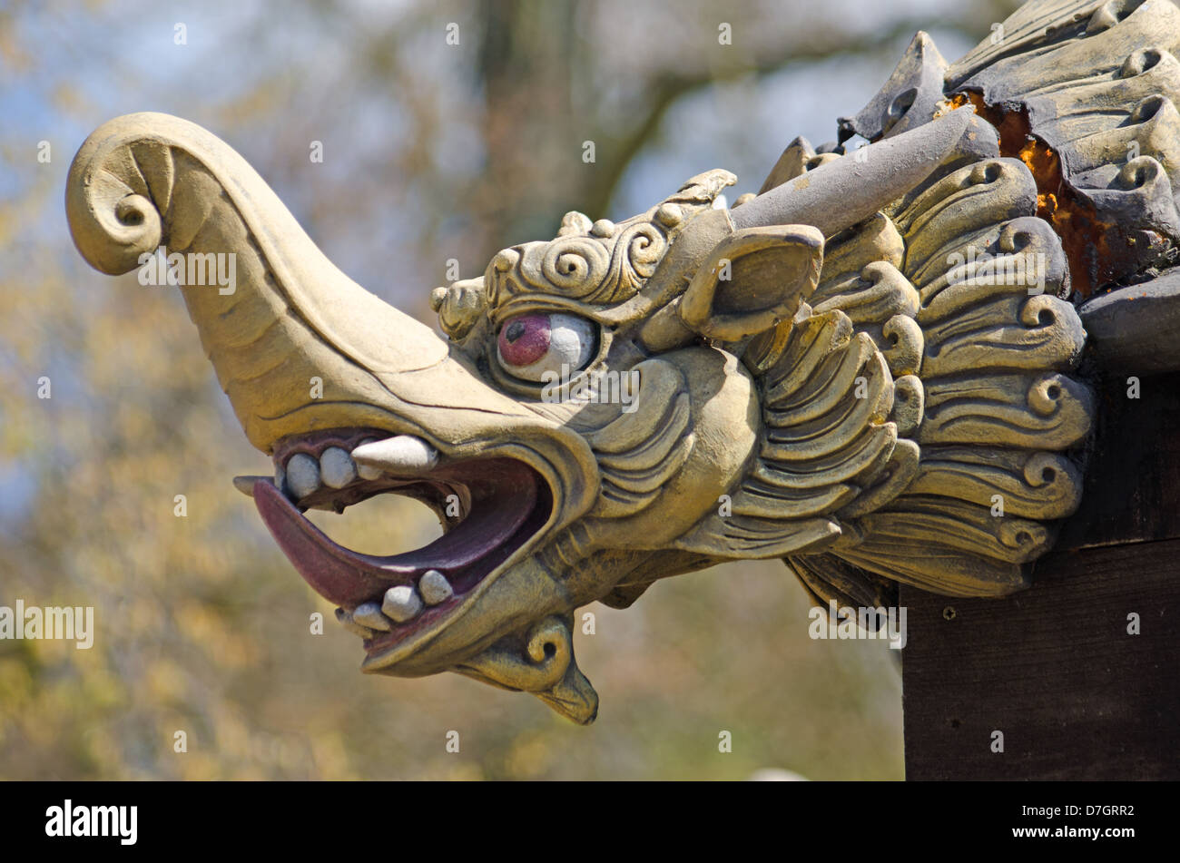 Chinese pagoda dragon head Stock Photo